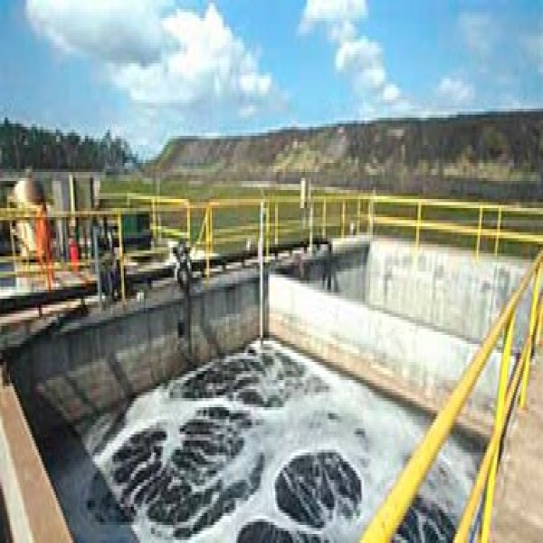 Imagem Ilustrando Ecocaixa